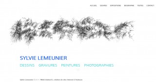 creation-site-internet-toulouse-agence-web-sylvie-lemeunier